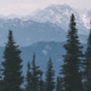 Meet your Posher, Mackenzie